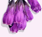 Sensitive Hypoallergeen Crème - Proefje