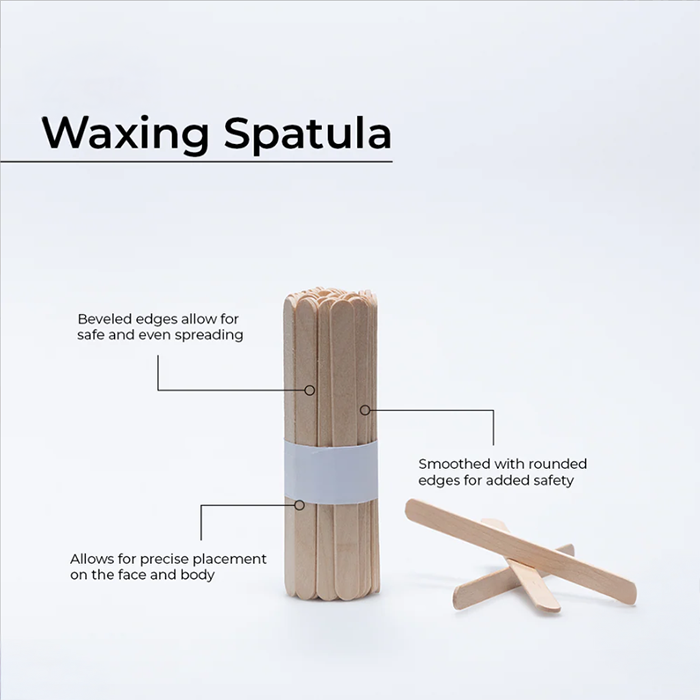 Spatel klein 50 Stück